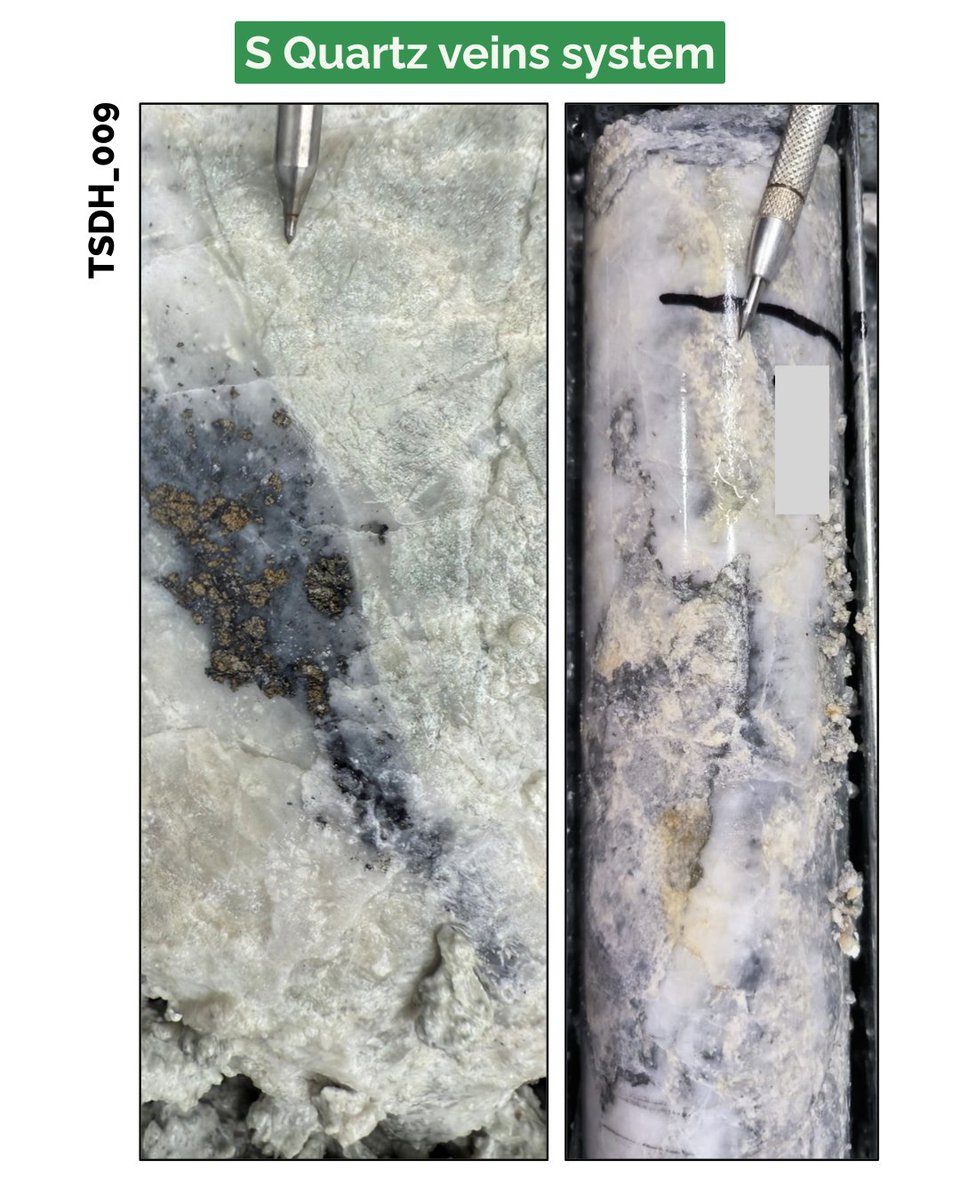 This week at Tahami South, we have discovered two new mineralized veins (Vein S and Vein V) that carry the exact geological signature of the prolific Segovia operations of Aris Mining.

These intercepts confirm that we are tapping into the same geological architecture that has
