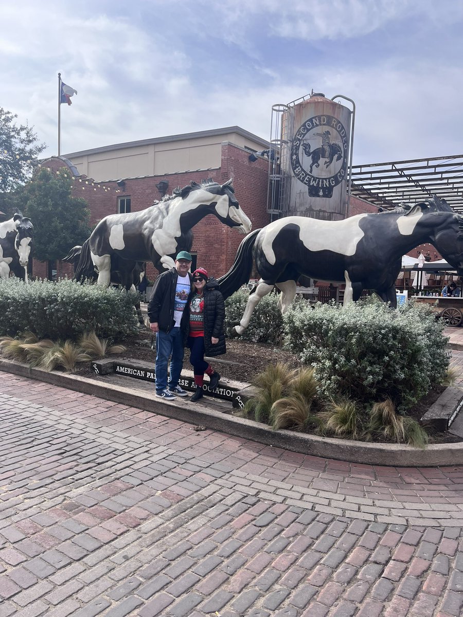 billymacrae's tweet photo. Fort Worth #paintHorseBronzes https://t.co/g4zAFuxuCU