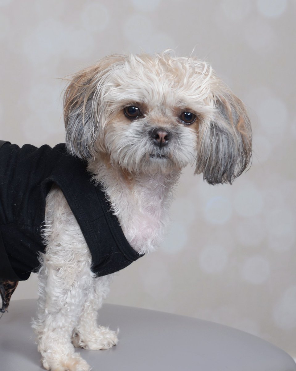 3/24 ♈️ tweet media