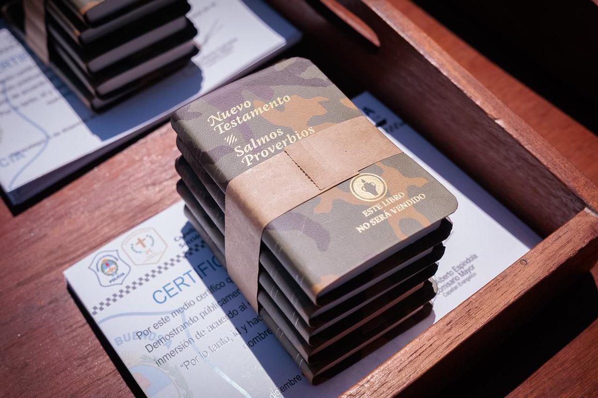 Cristina Alvarez Rodríguez tweet media