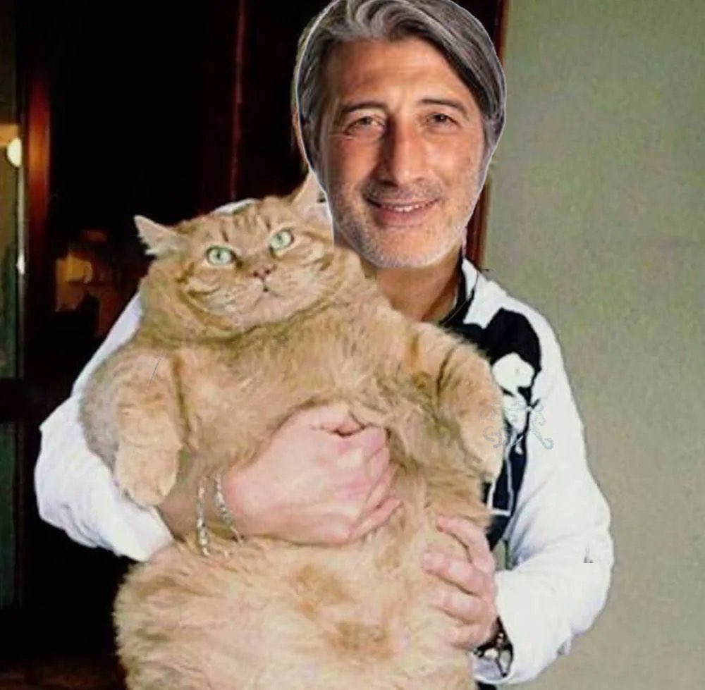 Luca Bonnet tweet media