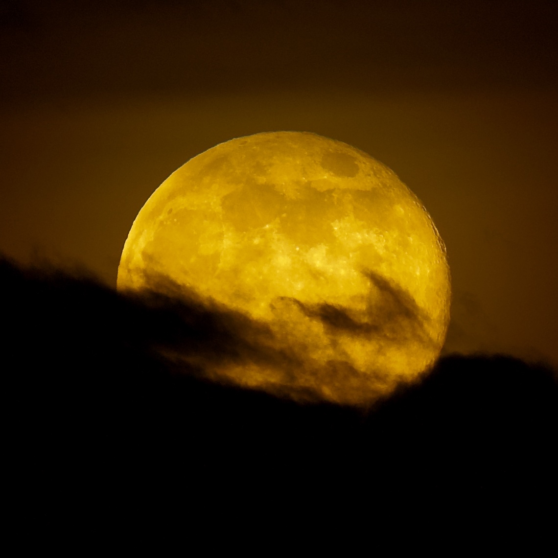 scrutacieli's tweet photo. Golden Moon 🌕 https://t.co/djLYoHfWLi