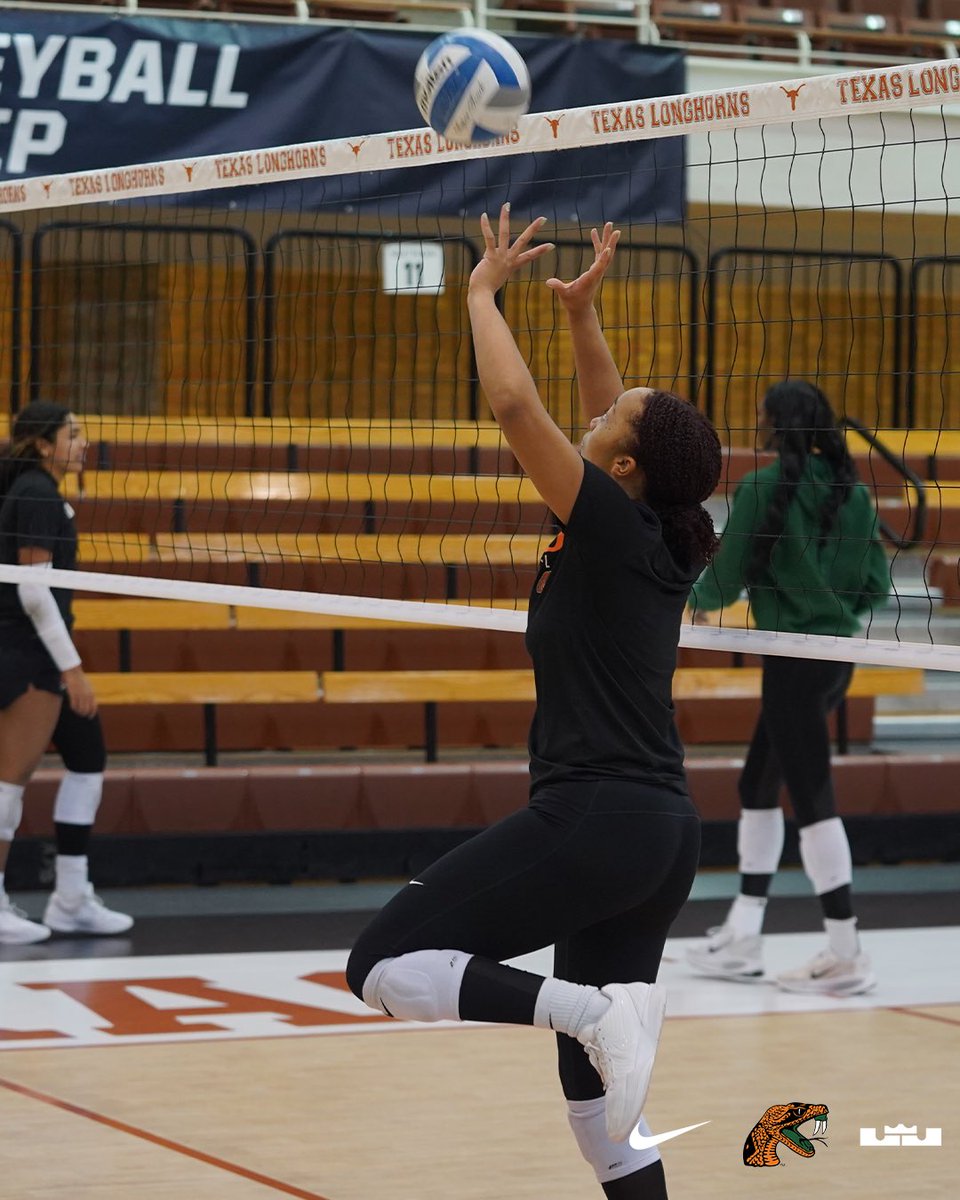 Florida A&M Volleyball 🏐 tweet media