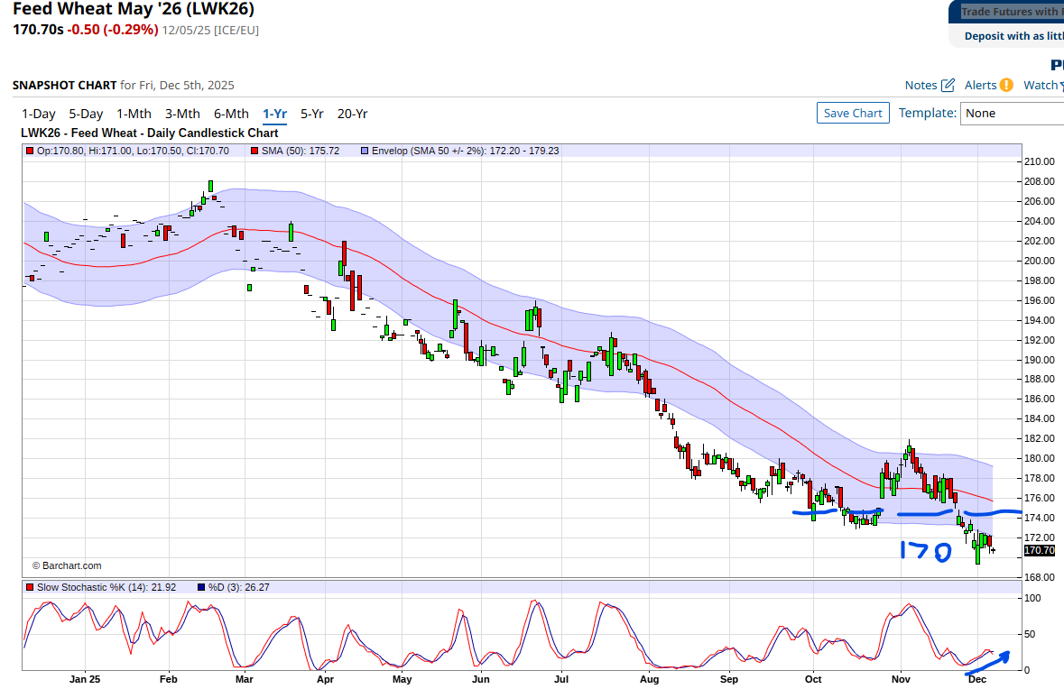 Davidburrs's tweet photo. #Wheat confirms the breakdown! Prices continued to slide after failing to hold £175 support, closing at a new low of £170.70. While stochastic divergence suggests a bounce near £170, the dominant downward trend remains firmly in place.  #Grains #TechnicalAnalysis https://t.co/sDr6fJTvC7