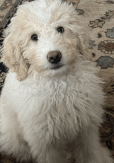 MotionMaps tweet media