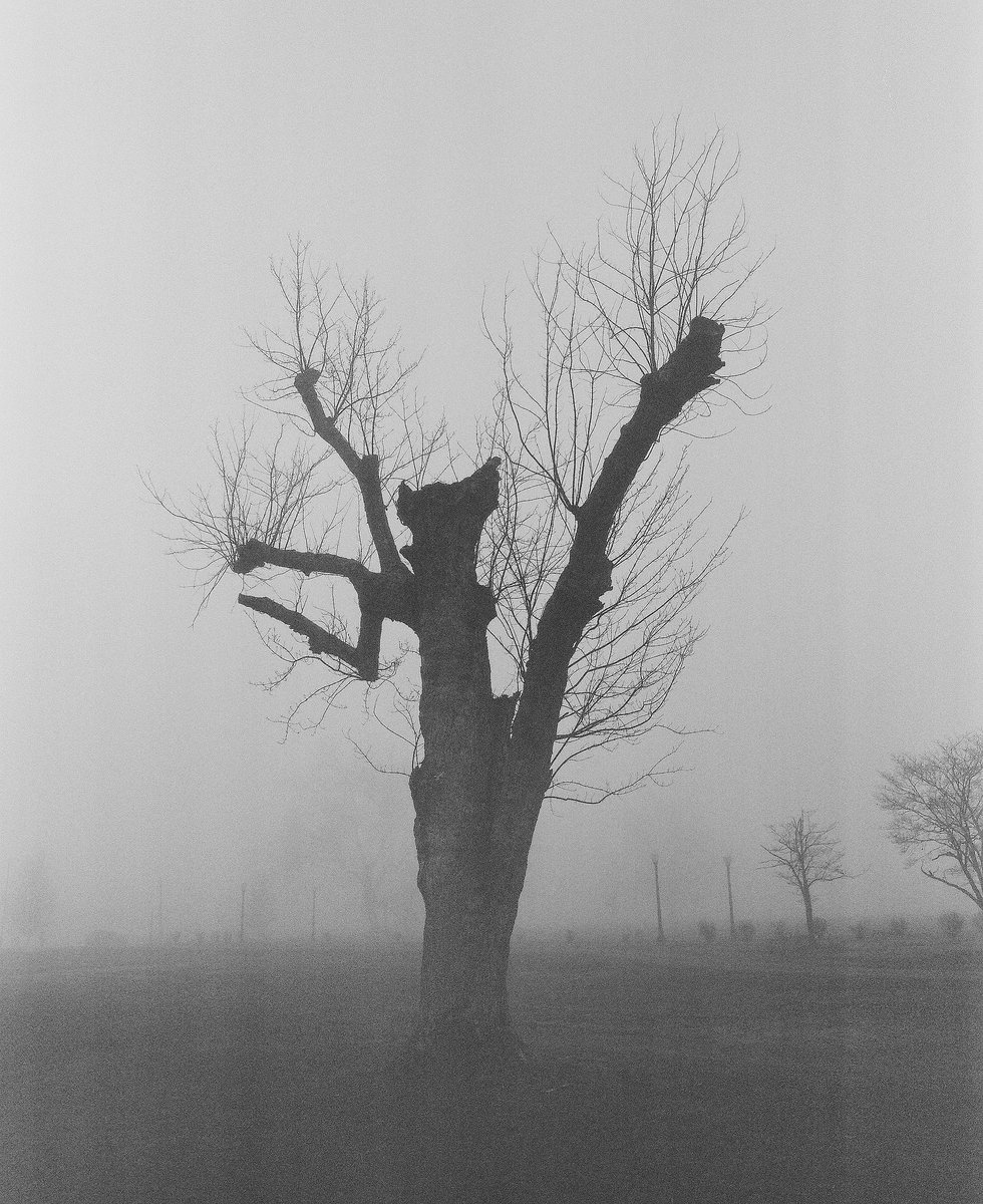 ValVicPhotography tweet media