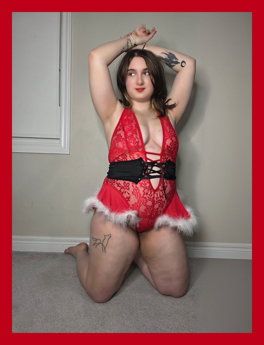 SydneyQOfficial's tweet photo. It's beginning to look at lot like Christmas... https://t.co/2LeOPatO9W