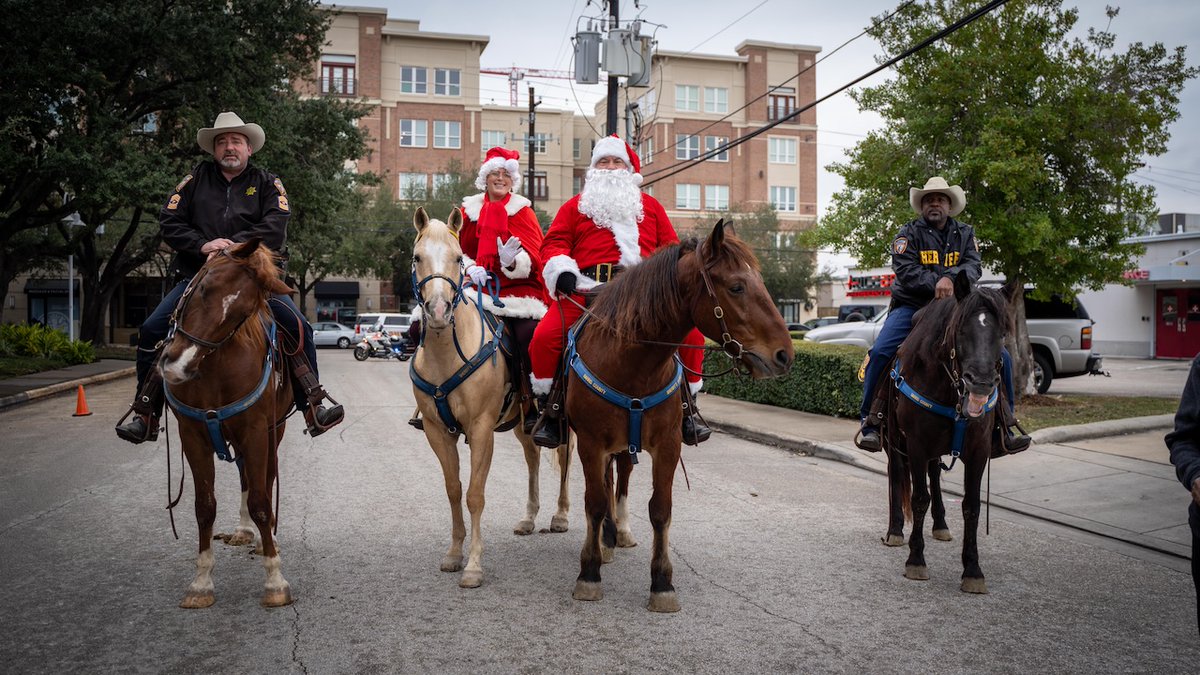 HCSOTexas tweet media