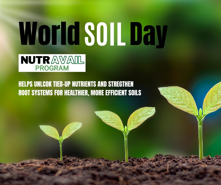 AgPerformanceBC's tweet image. Happy World Soil Day! 🌱
Healthy soil is the foundation of every high-performing crop.

Give us a call or check out the link below to learn how 𝗡𝘂𝘁𝗿𝗔𝘃𝗮𝗶𝗹 can help you be more profitable
agperformance.com/nutravail 
📞 641-562-2370 
#AgPerformance #PlantHealth #AgPerformance…