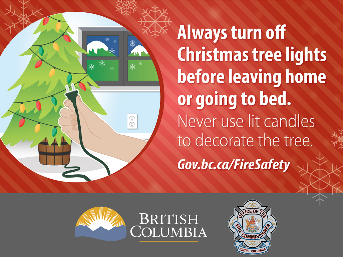 Delta Fire & Emergency Services tweet media