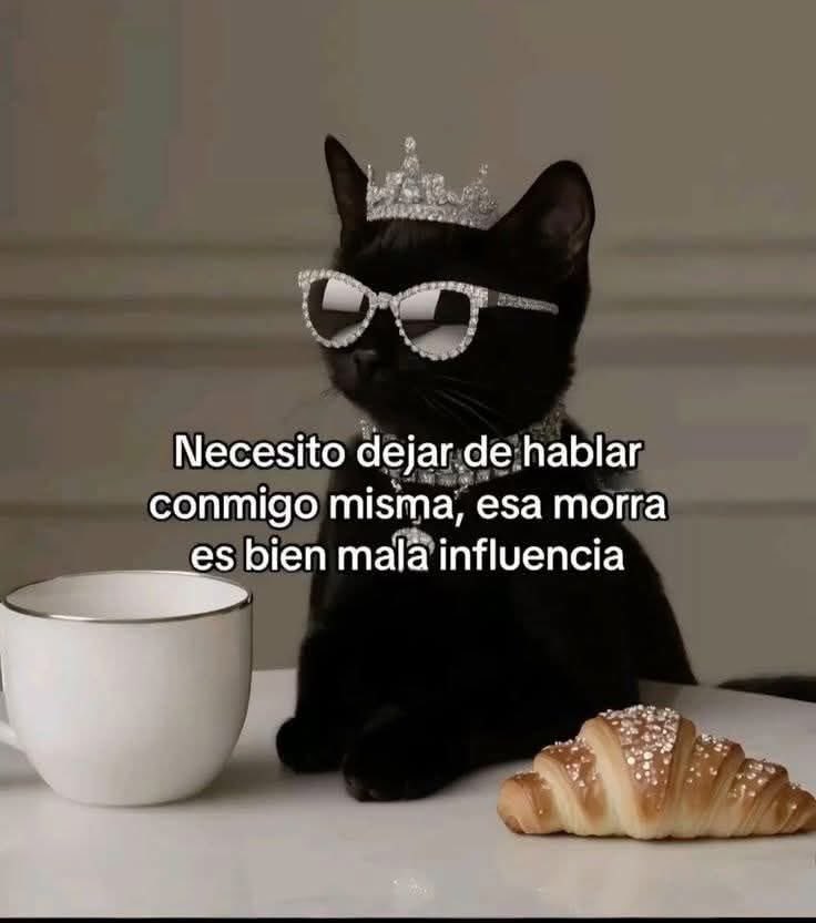 Bruja chanclitos (@bchanclitos) on Twitter photo 