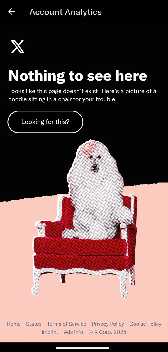 VjDotDev's tweet photo. I paid to see analytics , not this dog 😭 https://t.co/yeHJkUeH6J