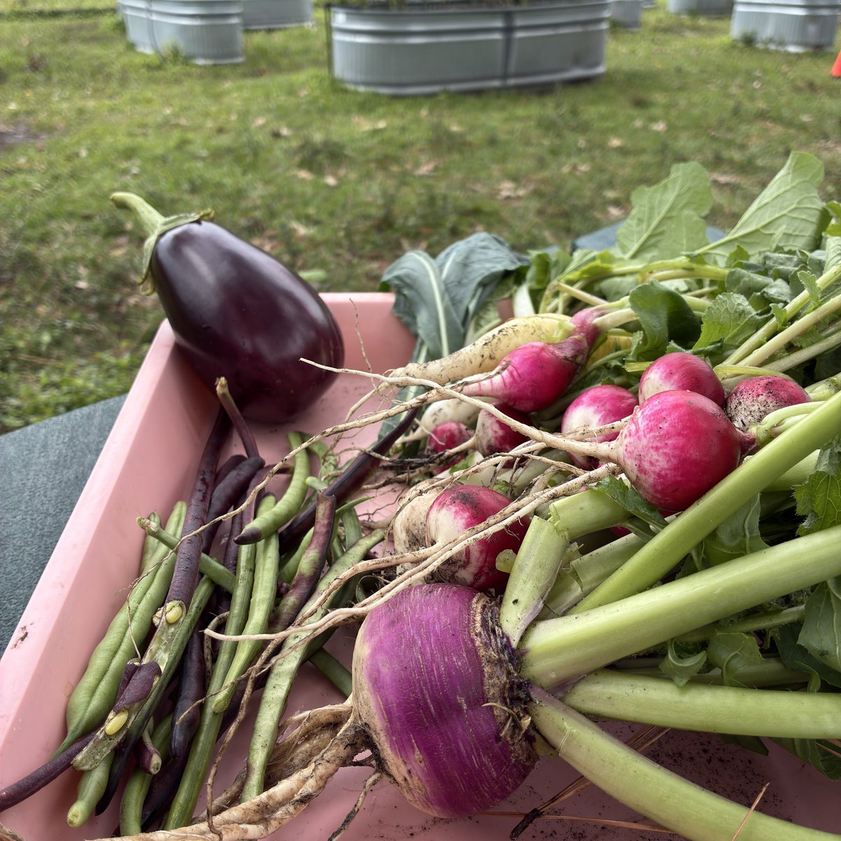 Angela Hoang tweet media