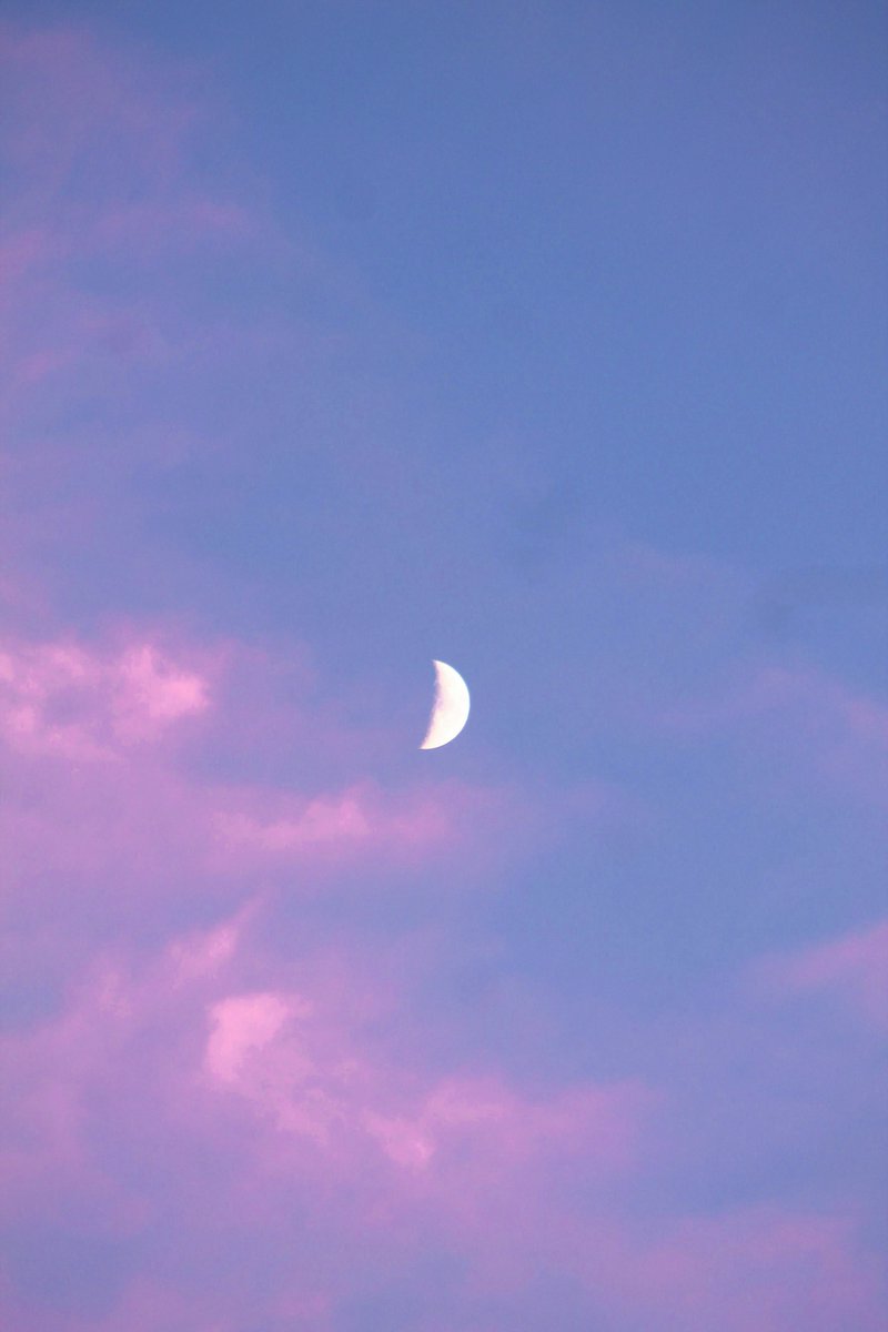 studio ghibli (@gardenofghibli) on Twitter photo 