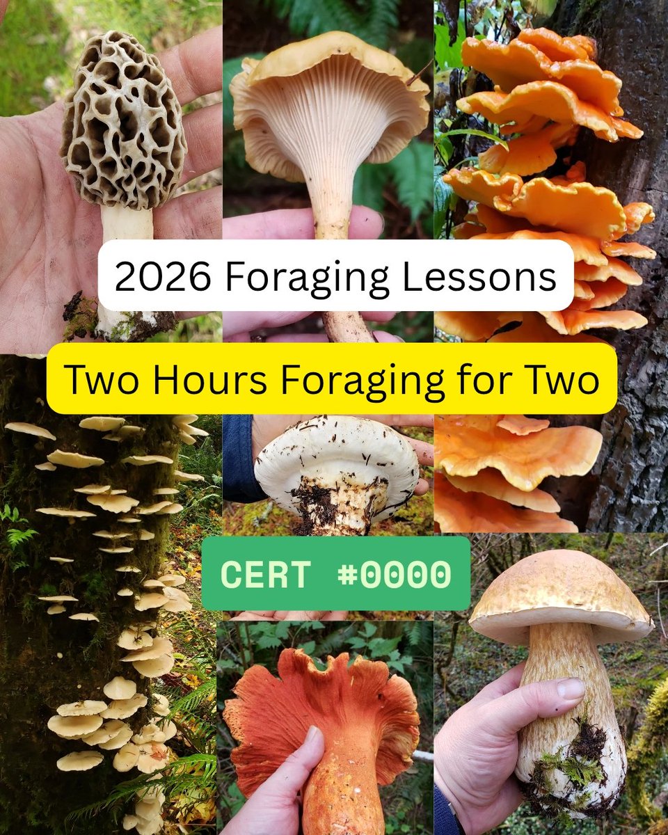 Digital gift certificates are super hot this year! Recipients get first shot at peak dates and access to exclusive foraging grounds. March - June: blonde and black morels. May - July: berries and spring/summer mushrooms. Aug-Dec: chanterelles, lobsters, porcini and matsutake.