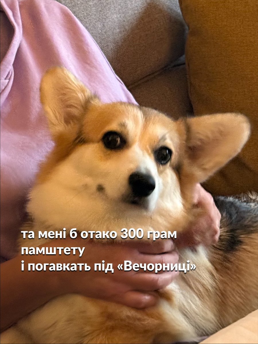 Ганна Польська tweet media