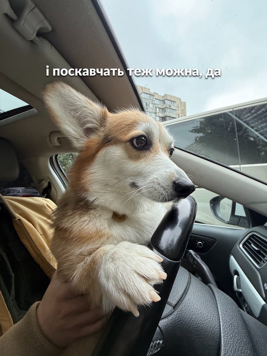 Ганна Польська tweet media