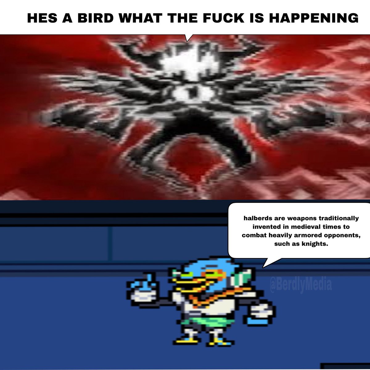 berdly media tweet media