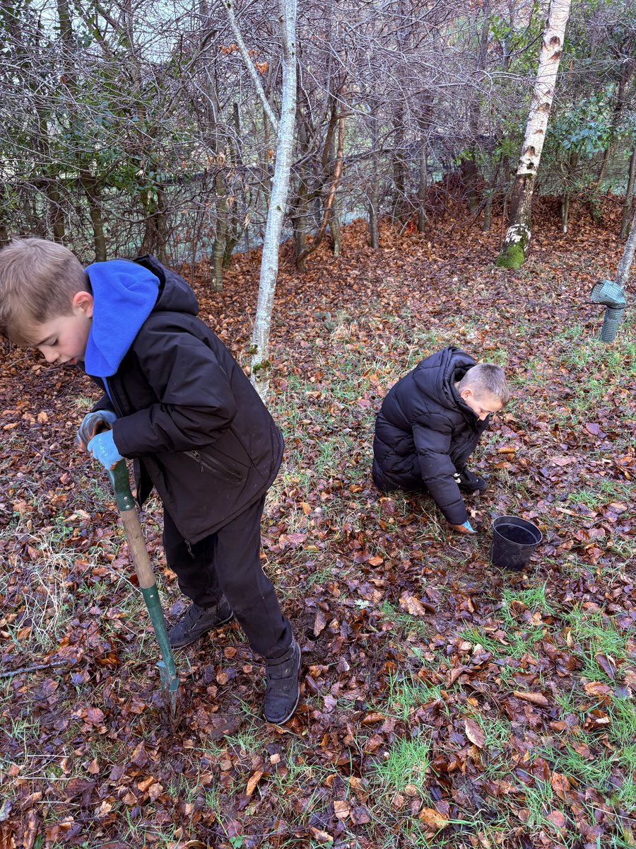 Addiewell Primary and Early Years tweet media