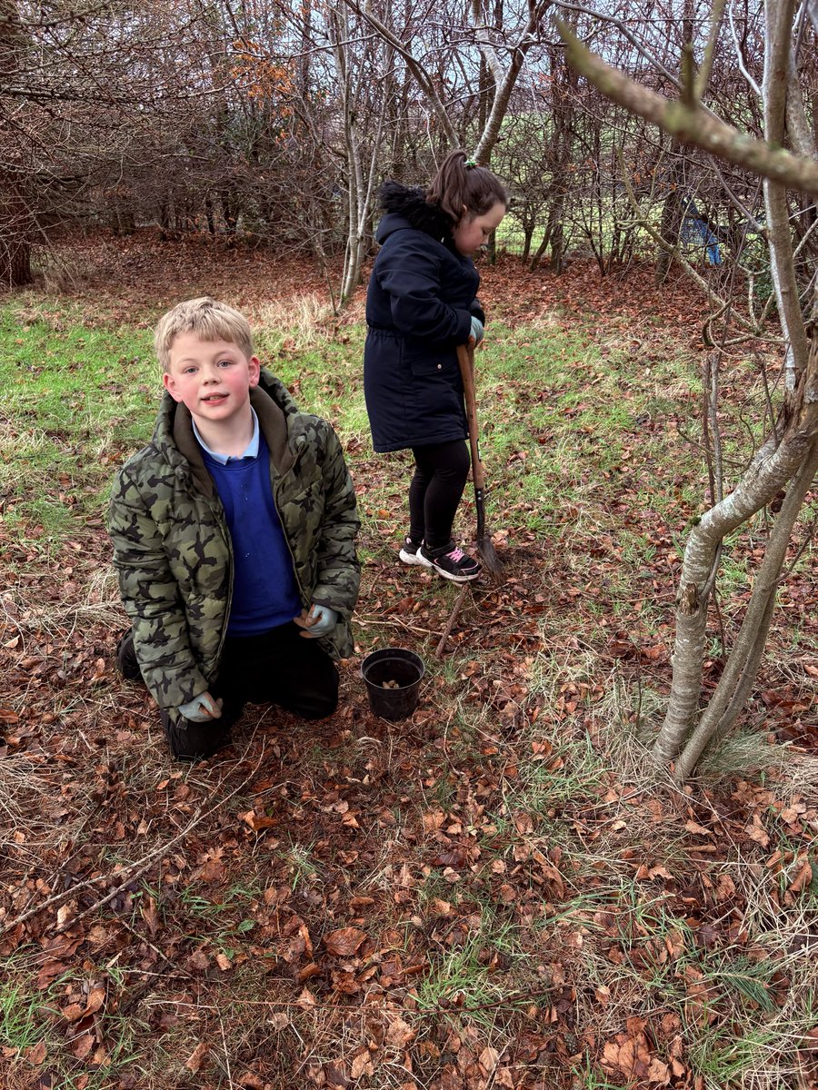 Addiewell Primary and Early Years tweet media