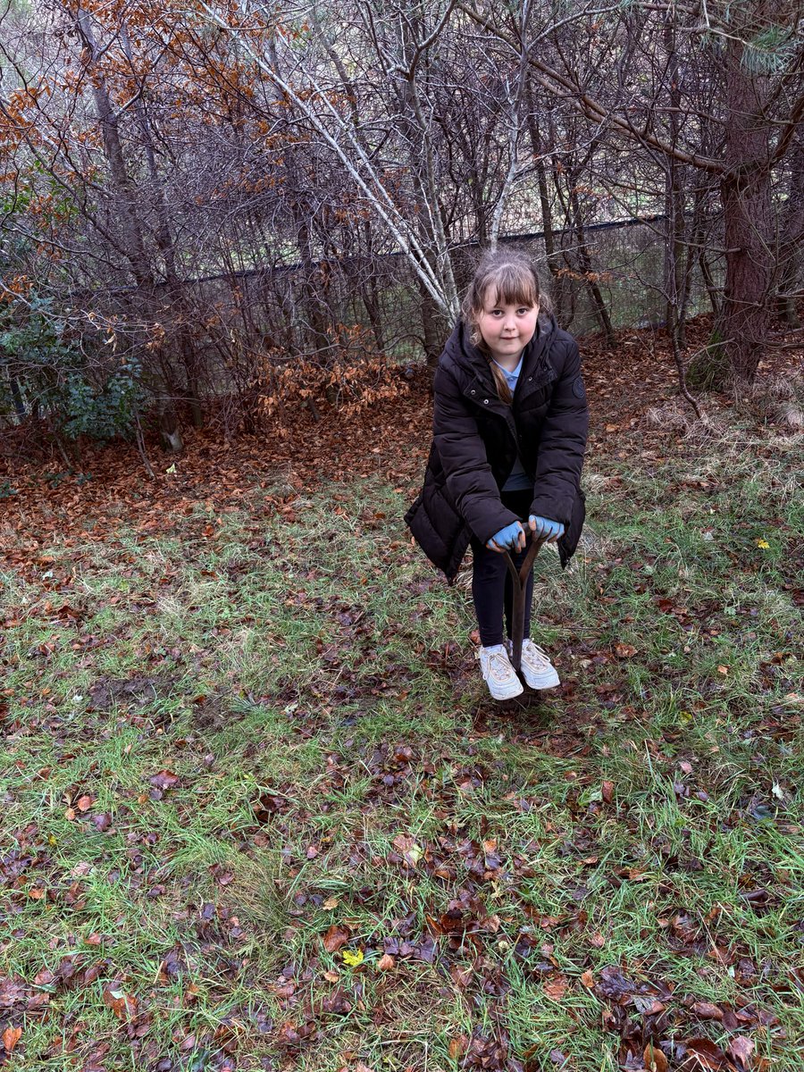 Addiewell Primary and Early Years tweet media