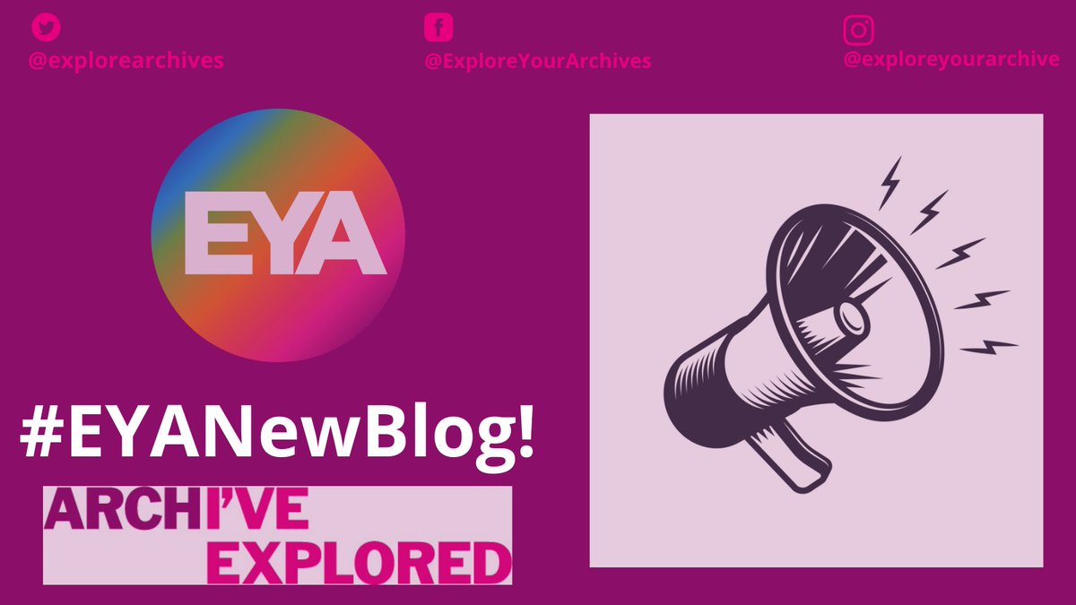 Explore Your Archive tweet media