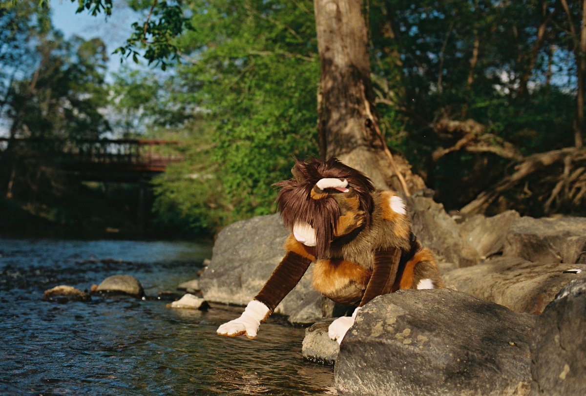 warrior cats vibes,, what clan would you be in?

📸 <a href="/YouMetMatt/">🦋Migrated🦋Those are his hooves you bitch</a>