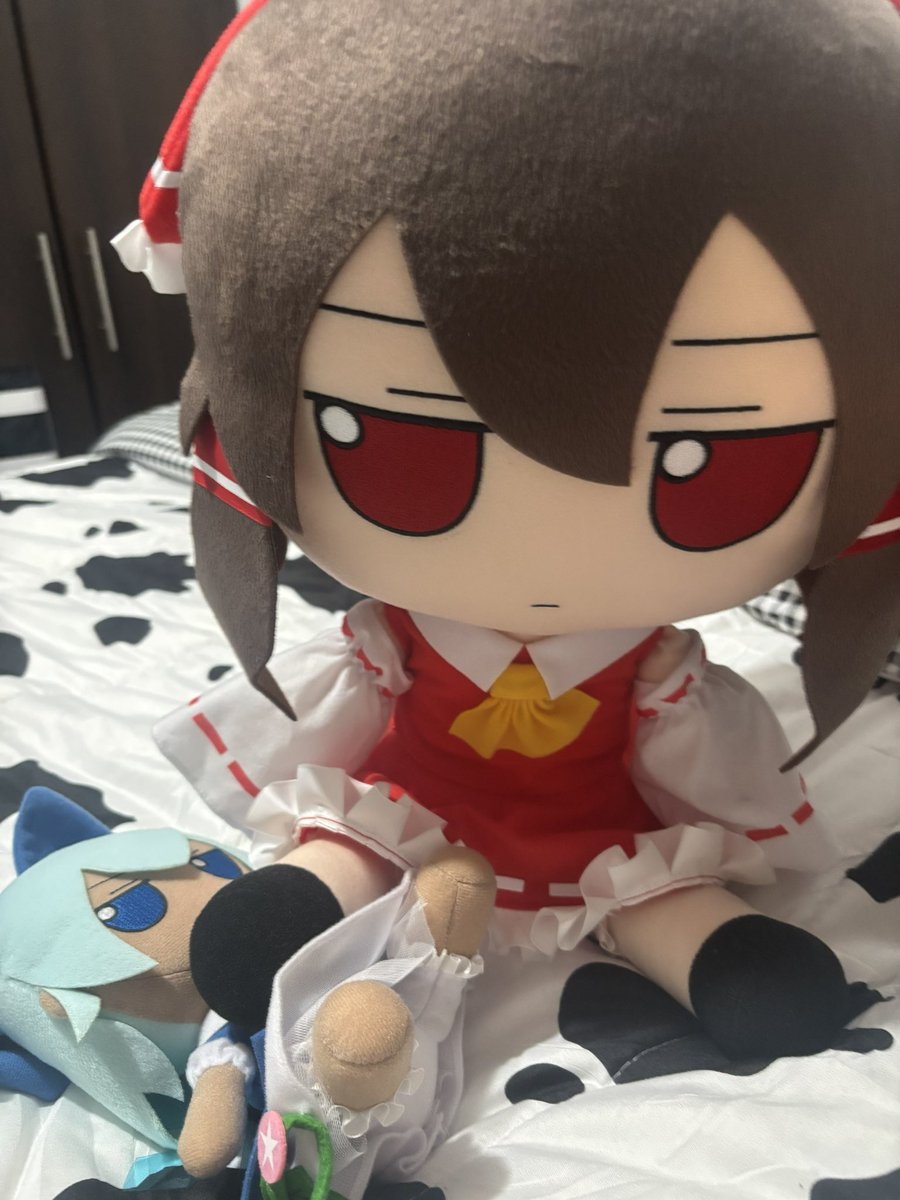 FamiFumo's tweet image. What Brown Cirno deserves 🙂