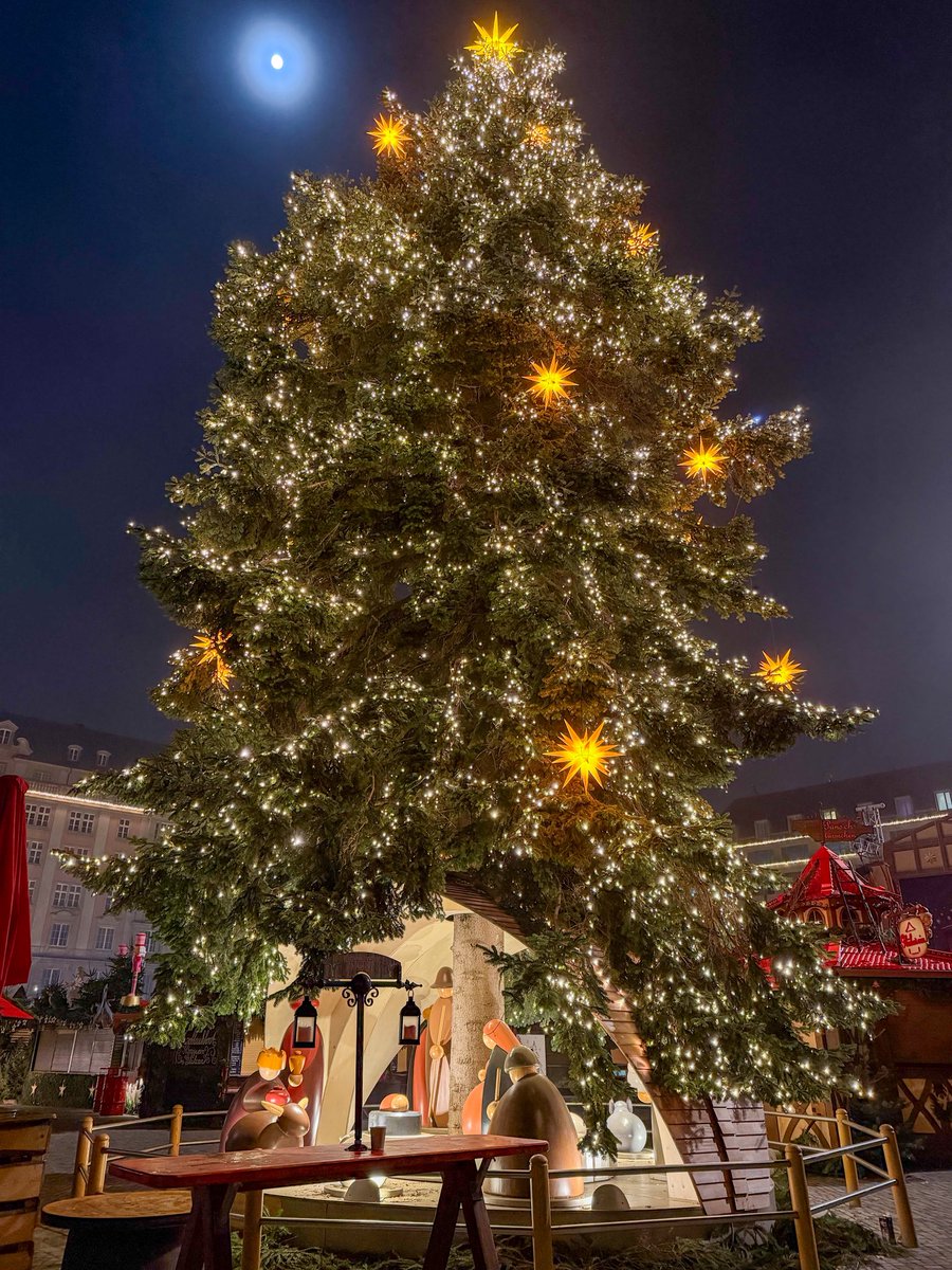 霧のドレスデン、シュトリーツェルマルクト。 幻想的で素敵⭐️ 世界最