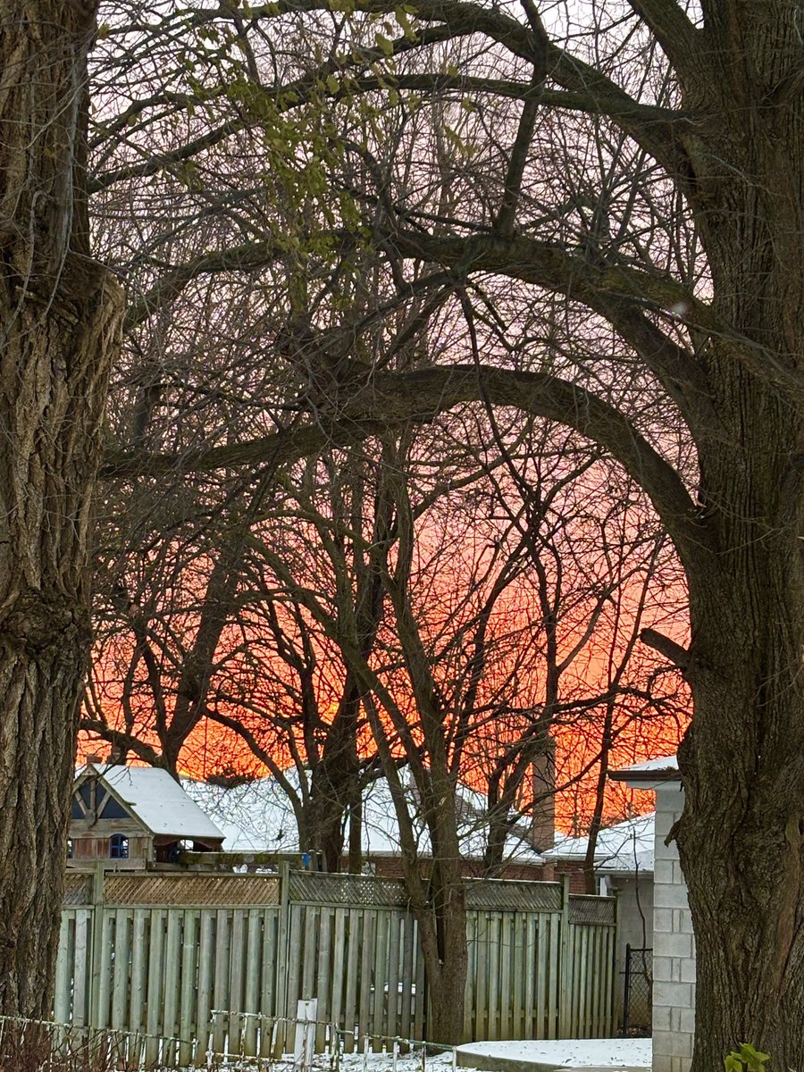 朝焼けマイナス11度