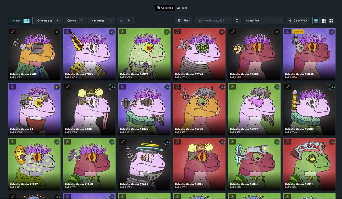 Courtney Stohlton tweet media