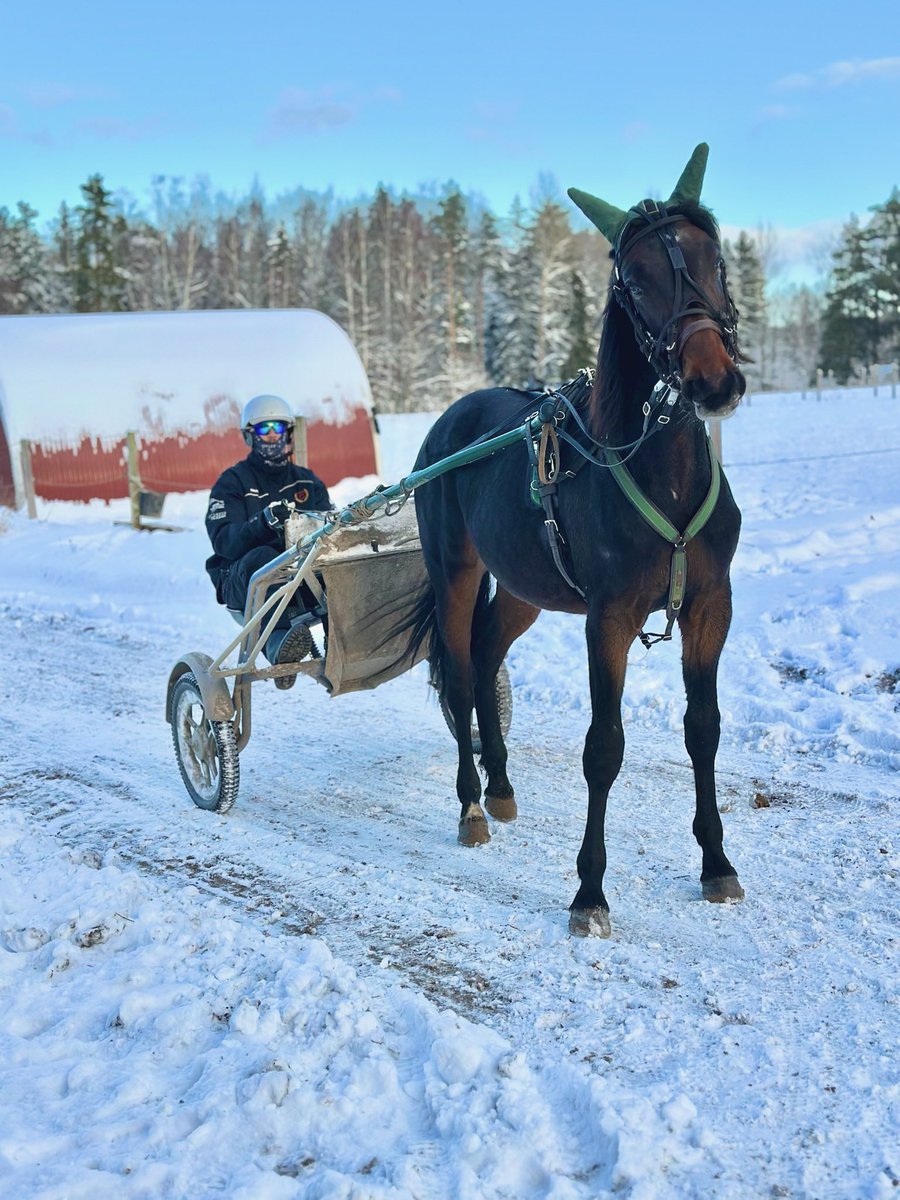 Knåpat ihop en preliminär rad till morgondagens V85! 

Häng gärna på! 96kr, 12 exklusiva andelar!

All min provision går till <a href="/travpuls/">TravPuls</a> 

atg.se/icavindeln/spe…