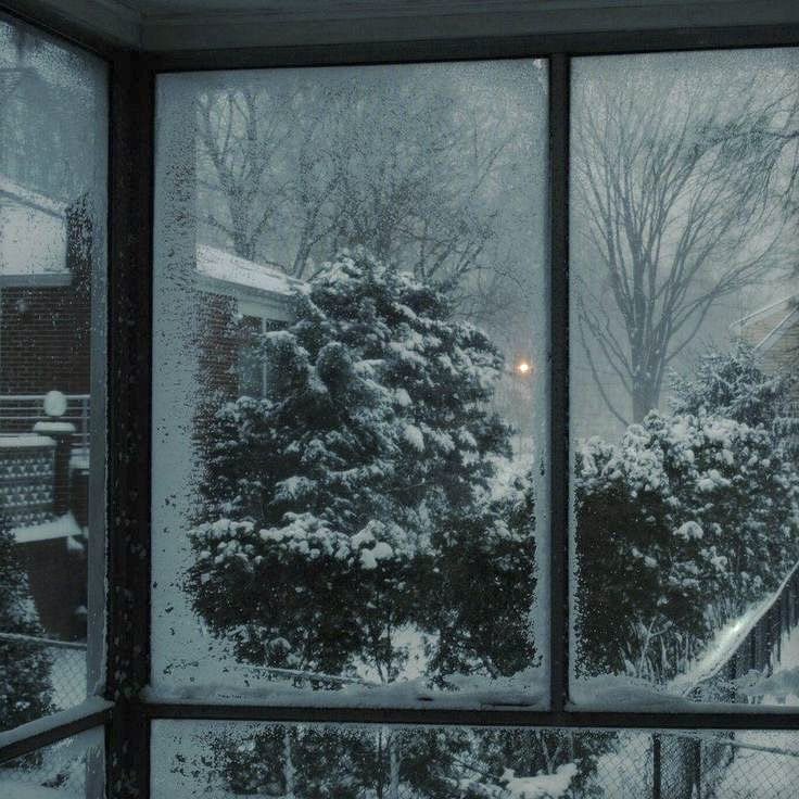 dreamland (@dreamland_usa) on Twitter photo 