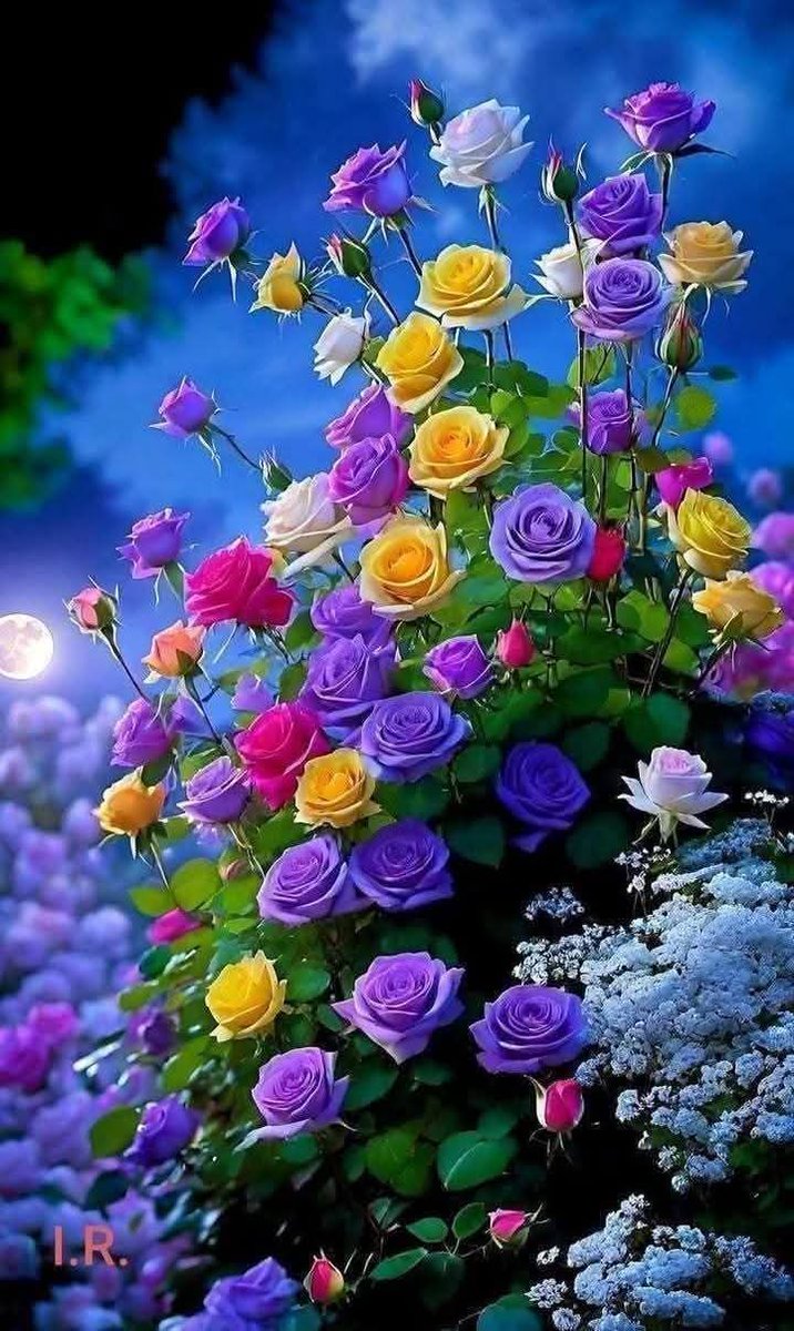 Stantani Abdessadeq. casa (@stantanissadeq) on Twitter photo 