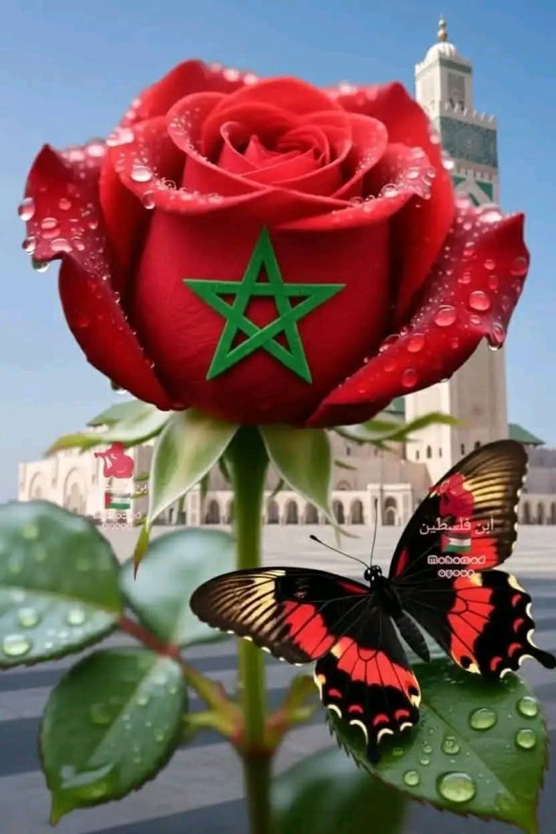 عيشي عيشي يا بلادي عيشي