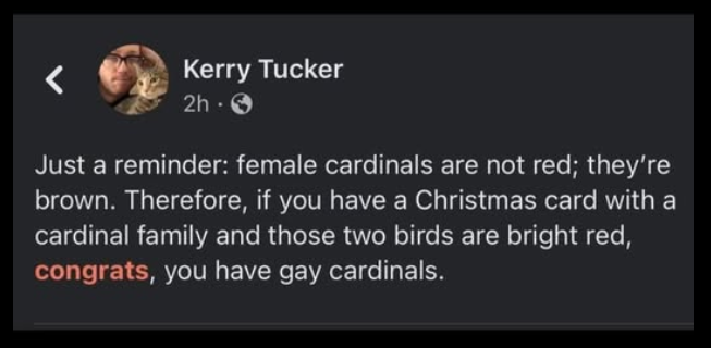 Carter Kasey-McKinney (@scwhbcarter) on Twitter photo 