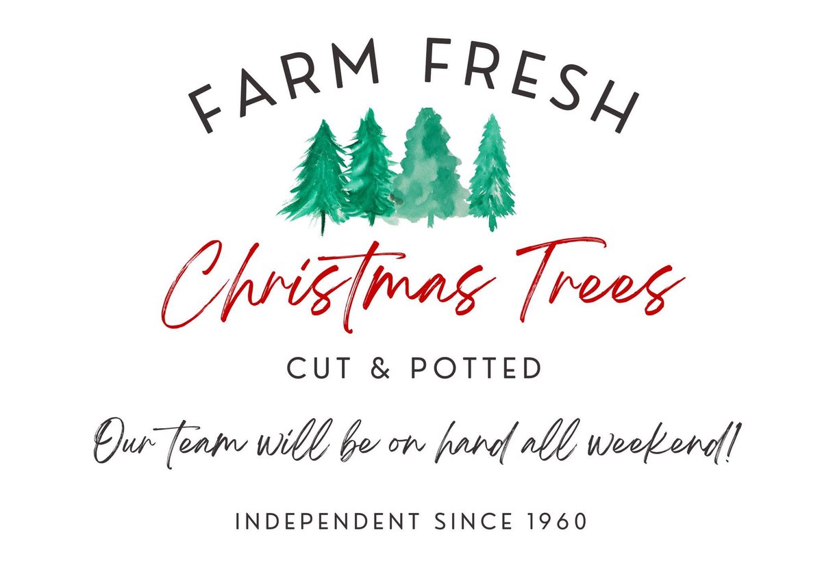 Callum Watson tweet media