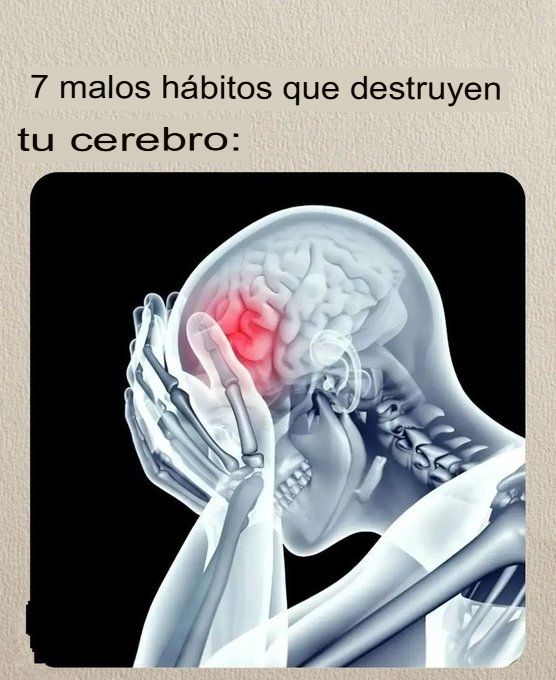CristianMedin4X's tweet image. 6 malos hábitos que DESTRUY3N tu CEREBRO: 🧵 

- HILO -