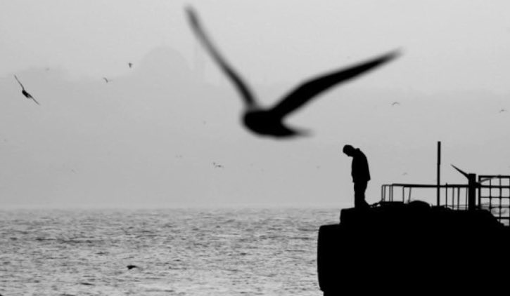 Zulmün, açlığın, ölümün kol gezdiği bu Dünyada, toplumsal kutuplaşmalar, ayrışmalar, ekonomik yarılmalar gittikçe derinleşmekte, ekolojik felaketler hızla yaklaşmaktadır.
Son ağaç yanmakta, son nehir kurumakta, son deniz kirlenmekte, son balık ölmektedir. 
Nereye bu gidiş hâfız?