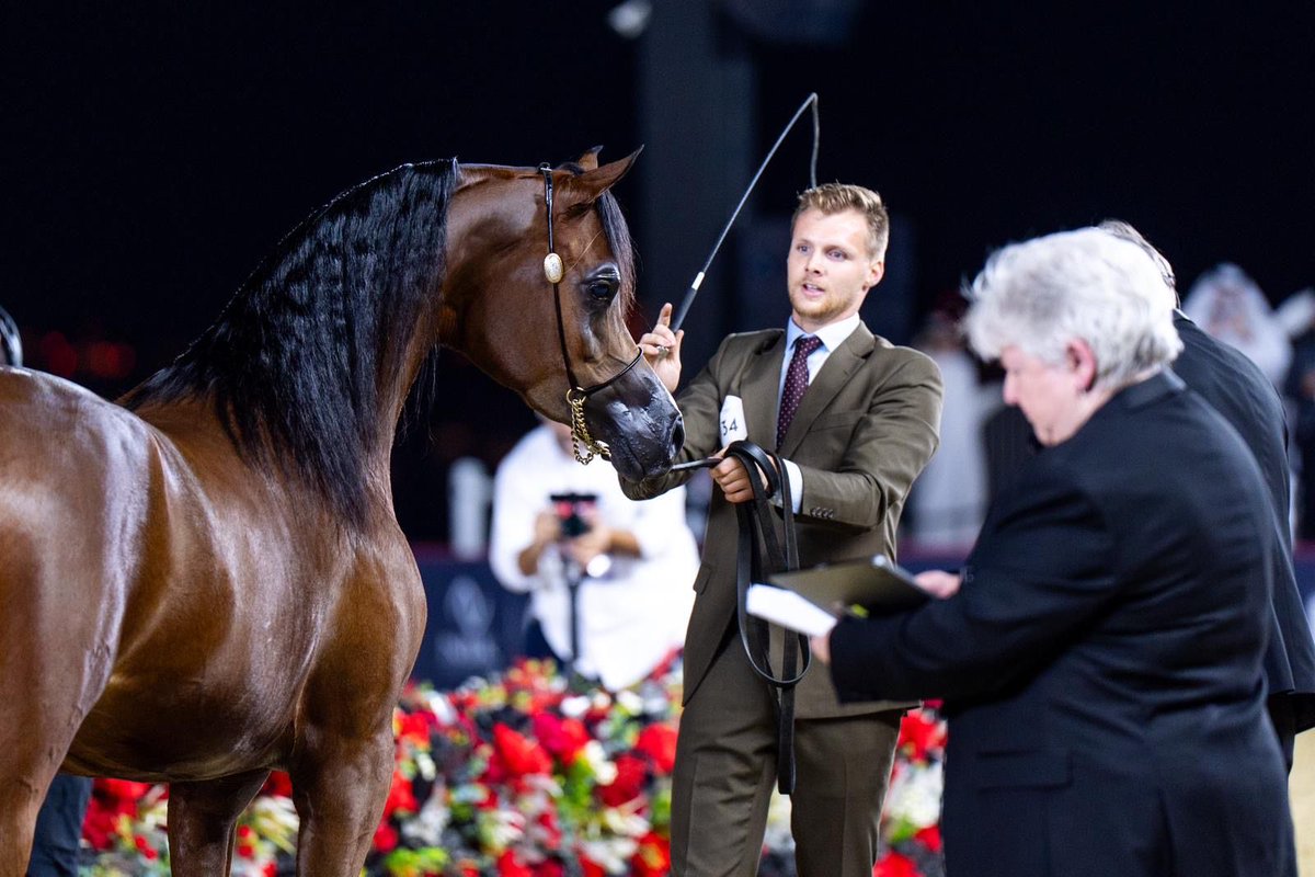 Al Shaqab tweet media