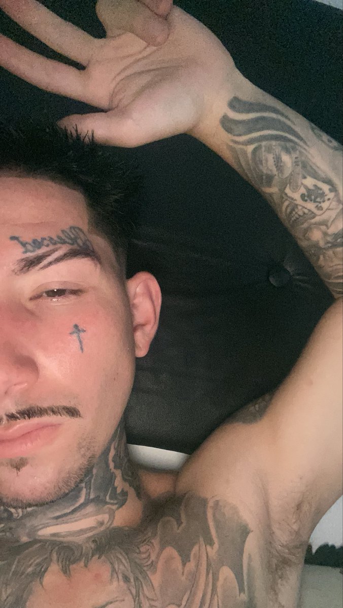 mini malvadao tweet media