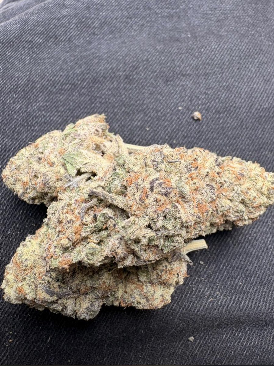 Babatunde! 🇧🇪🫶🏻 tweet media