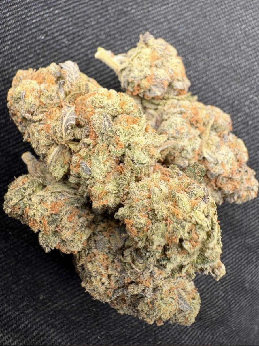 Babatunde! 🇧🇪🫶🏻 tweet media