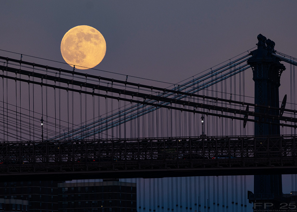 fotoportmann's tweet photo. Cold Supermoon rising on the evening of December 4, downtown NYC ©2025 Francois Portmann / https://t.co/JblVpuS0yw
#moon #coldmoon #supermoon #lune #pleinelune #luna #lunar #astro #sunset #moonmagic #moonwatch #earthsky #skywatch #nightsky https://t.co/eCF74WOzRa