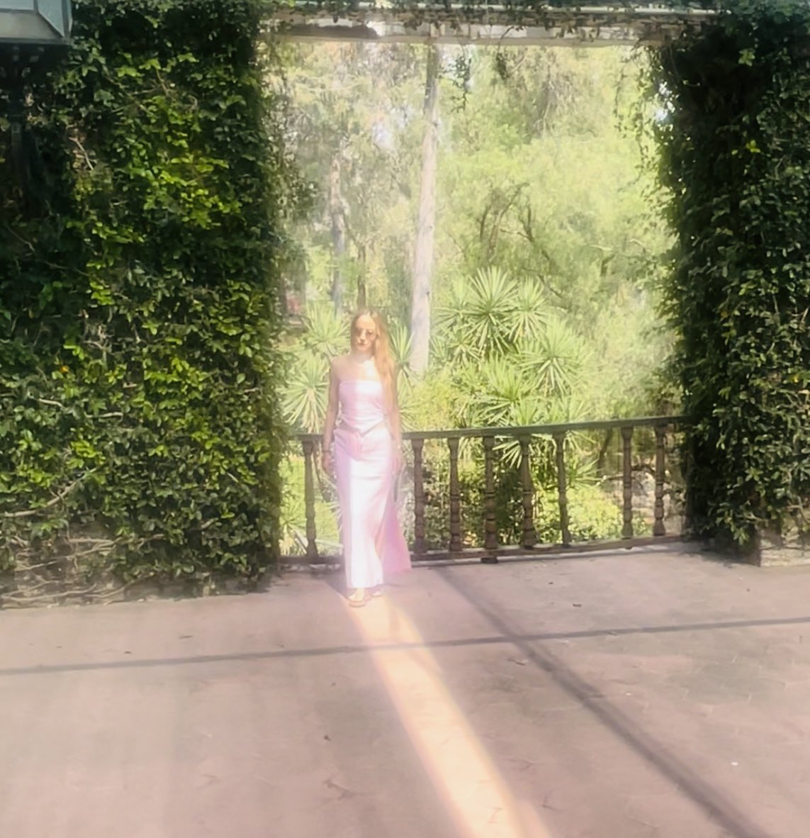 “… amanecerá tu día como suaves cantos de pájaro al alba…”

- Joyce Carol Oates.