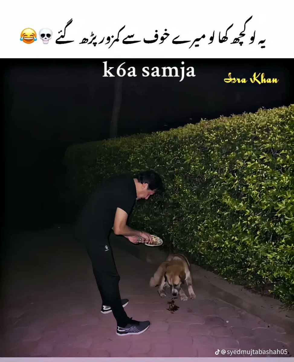 Muqadas Khan tweet media