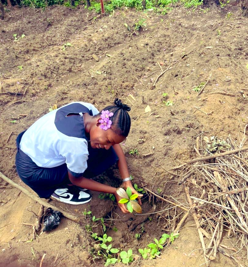 JesuitesACE's tweet photo. “La sauvegarde de la Création représente une véritable vocation pour chaque être humain, un engagement à accomplir dans la Création même, sans jamais oublier que nous sommes des créatures parmi les créatures, et non des créateurs.”
Pape Léon XIV
📸Journée de l’arbre -Coll. Kubama https://t.co/y3WjeqJU5e
