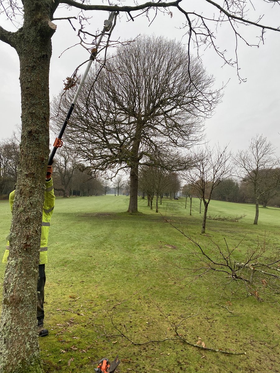 Pollok golf club (Greens) tweet media