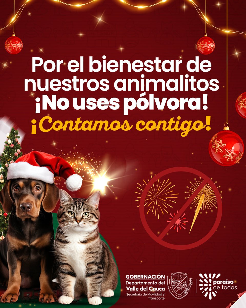 MovilidadValle's tweet photo. ✨ En esta Navidad, el mejor regalo es llegar seguros a casa.
La pólvora no solo pone en riesgo a nuestros niños, también puede causar accidentes en las vías.
Celebremos con responsabilidad, con amor y con la alegría intacta. ❤️🚦
@GobValle https://t.co/AT8jfEbHrh