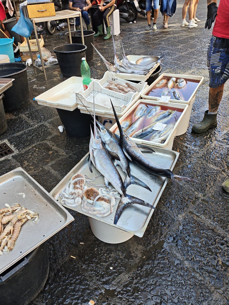 Charlie000912's tweet photo. La Pescheria, Sicily! https://t.co/TTsKa0uCTH